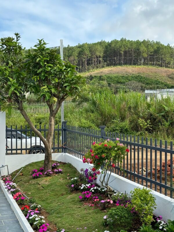 Đất Giá Rẻ – datgiare.vn
