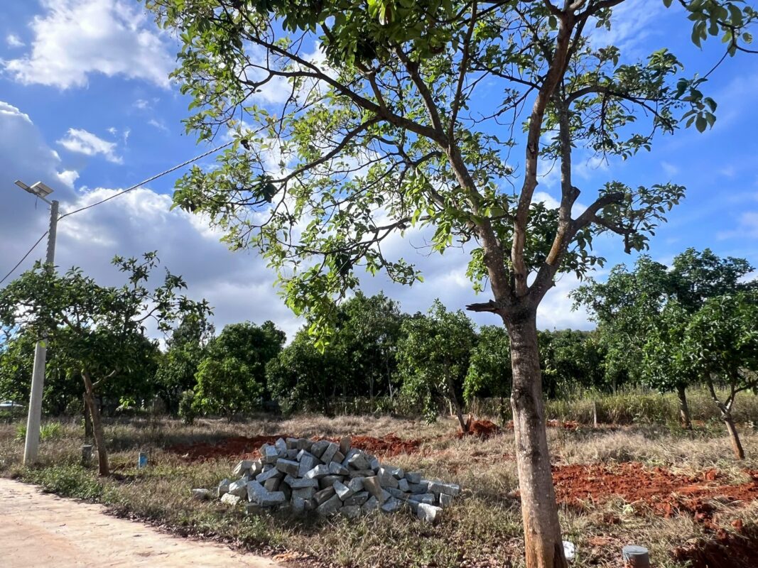 Đất Giá Rẻ – datgiare.vn