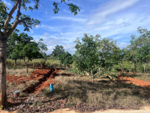 ĐẤT NGANG RỘNG 12M THỔ CƯ LỚN, PHÙ HỢP ĐẦU TƯ & AN CƯ LÂU DÀI